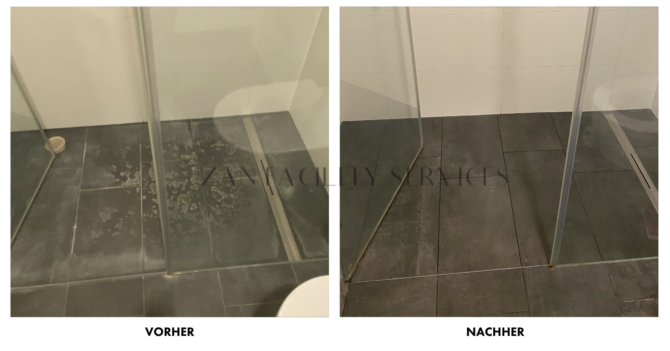 Генеральная уборка с Abnahmegarantie