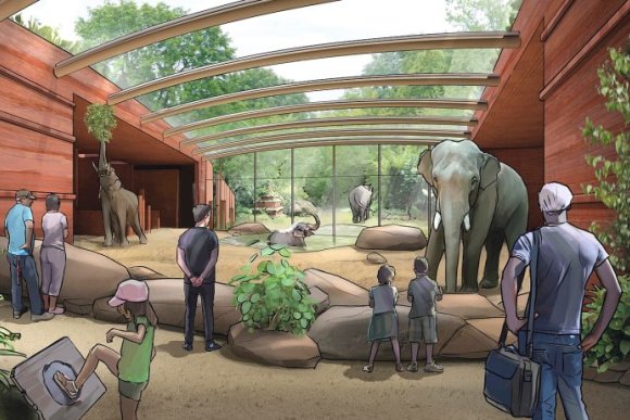 Berliner Zoo: большие изменения