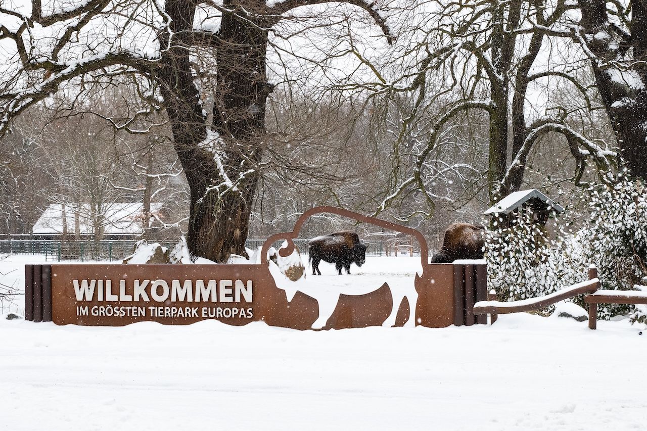 Tierpark Berlin: Sonderaktion im Februar