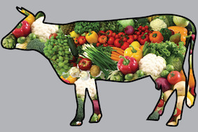 «Овощное мясо»: ни аллергии, ни лишнего веса...