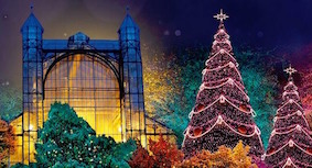 Christmas Garden Berlin - место, чтобы верить в рождественские чудеса