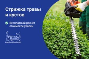Стрижка травы и кустов в Берлине