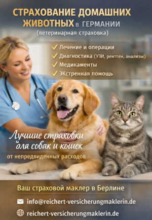 Страхование домашних животных в Германии (ветеринарная страховка)