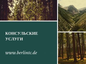 Заверенные переводы для консульства