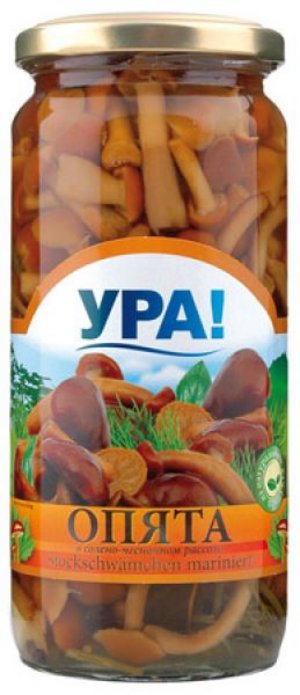 Русские грибы Опята в Германии