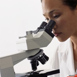 Учеба в ВУЗах Германии 