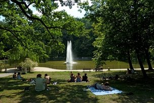 Идём в парк!