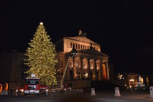 Рождественское волшебство начинается...
