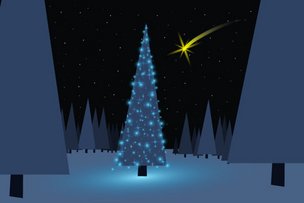 «Нарядили ёлку в праздничное платье»...