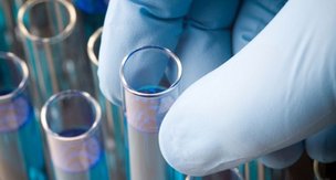 Человек: между свиньей и шимпанзе