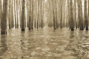 «Дух места» Юргиса Занаревского