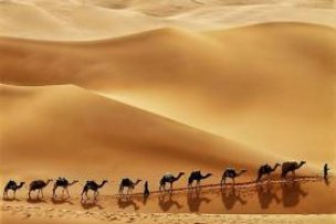 Пустыни поглощают углекислый газ?