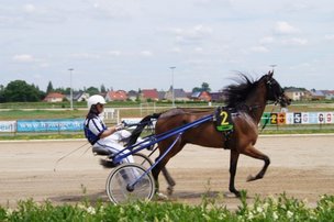 Фотолента Deutsch-Russische Festtage 2014 (автор BERLIN24.RU)