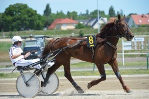 Deutsch-Russische Festtage 2014: фоторепортаж от П. Сепи