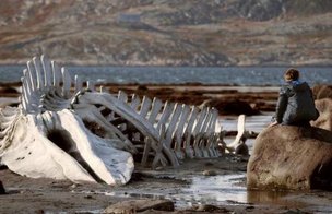 «Золотой глобус» Андрея Петровича