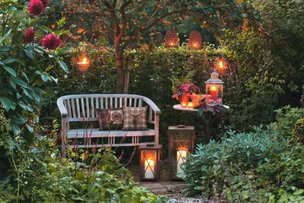 С мечтой о волшебном саде