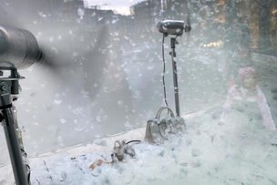 Пух и перья В Дюссельдорфе