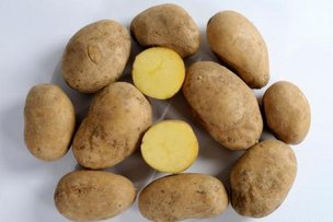 Картошка-2015 в Германии