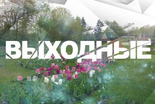 Выходные в Берлине: 7 - 8 марта