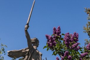 «Сирень Победы»: международная патриотическая акция