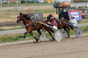 DRF-2015 Berlin: лошадиные бега на ипподроме Карлсхорст