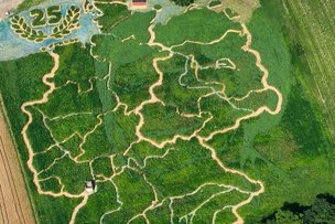 На поле в Баварии появился лик Ангелы Меркель