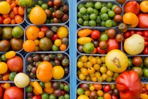 Германия: помидорный рекорд