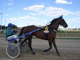 Германо-Российский фестиваль DRF 2016 глазами ребенка (Фото + Видео)