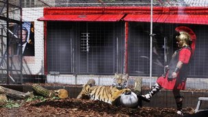 Джунгли европейской политики: звериное шоу «FLÜCHTLINGE FRESSEN – NOT UND SPIELE»