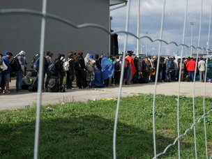 Две недели в лагере для беженцев по ошибке