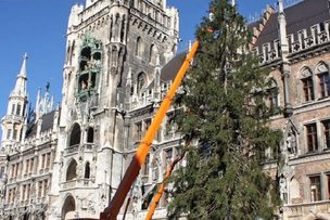 В Мюнхене поставили рождественскую ёлку!
