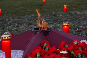 День Неизвестного Солдата в Берлине. Фоторепортаж