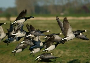 Пять лучших велосипедных маршрутов Германии
