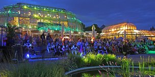ВИДЕО репортаж: Botanische Nacht 2017