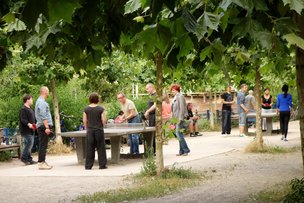 Теннис нашего двора