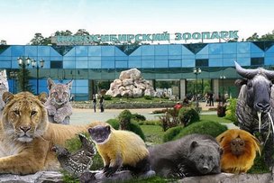 Зоопарк: идеи, проекты, проблемы, будущее…