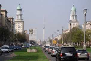 Летучие мыши тормозят работу строителей