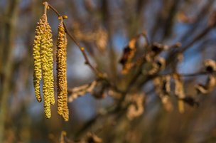 Об этом лучше знать!