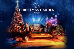 Рождественские огни Ботанического сада