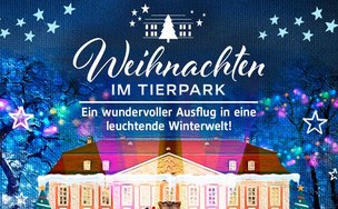 Встреча Рождества и Нового года 2020 в берлинском зоопарке