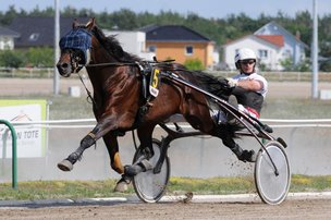 Лошадиные бега. Финал в Мариендорфе