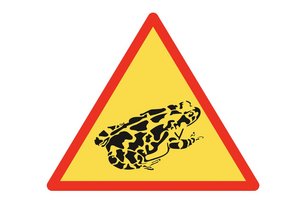 ДЮССЕЛЬДОРФ И ЕГО ПРИРОДА