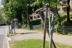 В ЭССЕНЕ ПОЯВИЛОСЬ БОЛЕЕ 600 НОВЫХ ДЕРЕВЬЕВ!