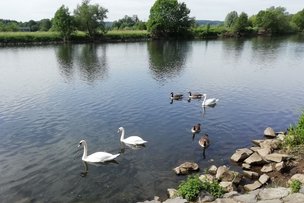 Земля Северный Рейн-Вестфалия (NRW): самые длинные реки