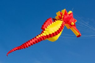 «Воздушные драконы» в небе Берлина