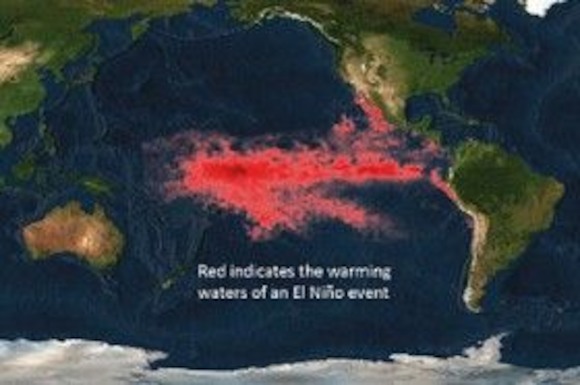 Эль-Ниньо: пожары и засухи впереди