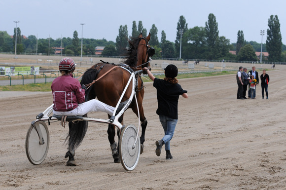 DRF-2015 Berlin: лошадиные бега на ипподроме Карлсхорст