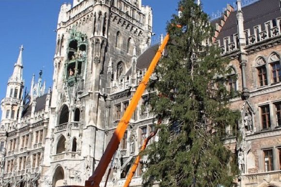 Ура! В Мюнхене поставили рождественскую ёлку!