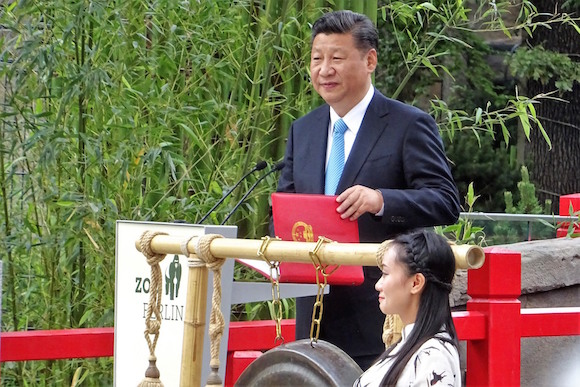Симпатичные китайские дипломаты Мечтатель и Дорогуша