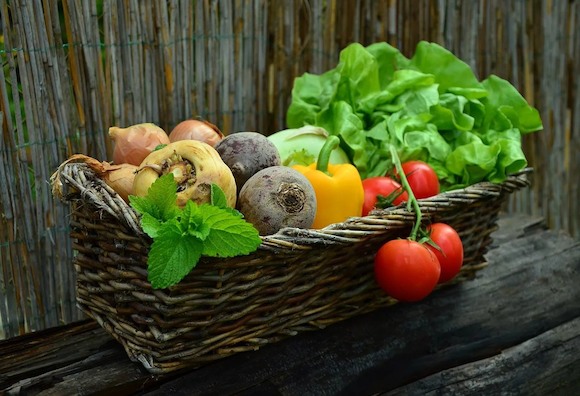 Простейшие овощи – «кладезь витаминов»